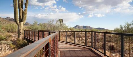 المنطقة المحيطة بالمنشأة