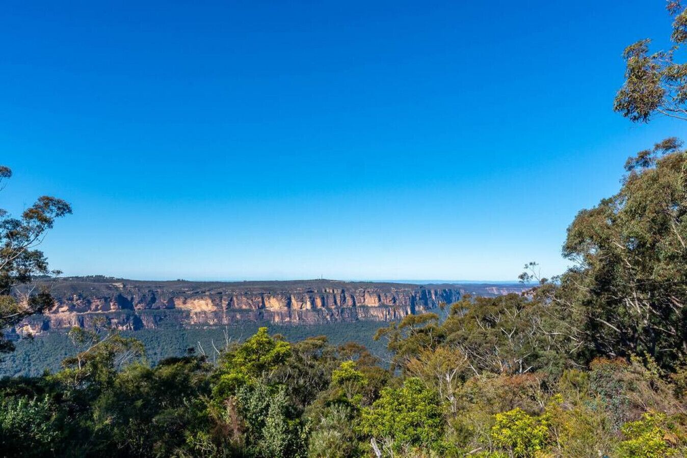 A canyon landscape with dense vegetation in the foreground and a clear blue sky.