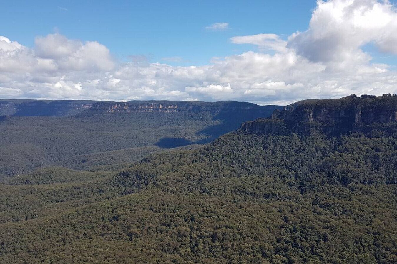A vast landscape with dense forest, a river, and a distant mountain range.