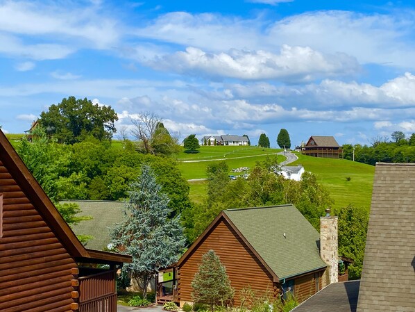 A view of a rural area with several houses and a large green field.