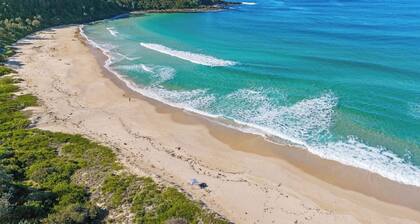 Beach Breeze at Mollymook near Beach
