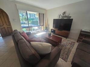 TV, fireplace, DVD player