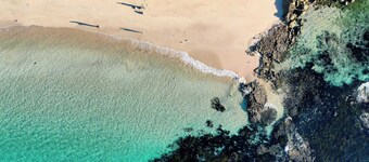 Seascape Macleay Street