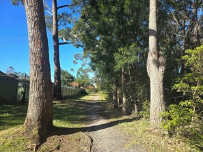A gravel path flanked by trees in a wooded area.