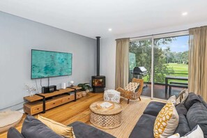 TV, fireplace, books