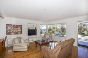 Televisio, DVD-soitin