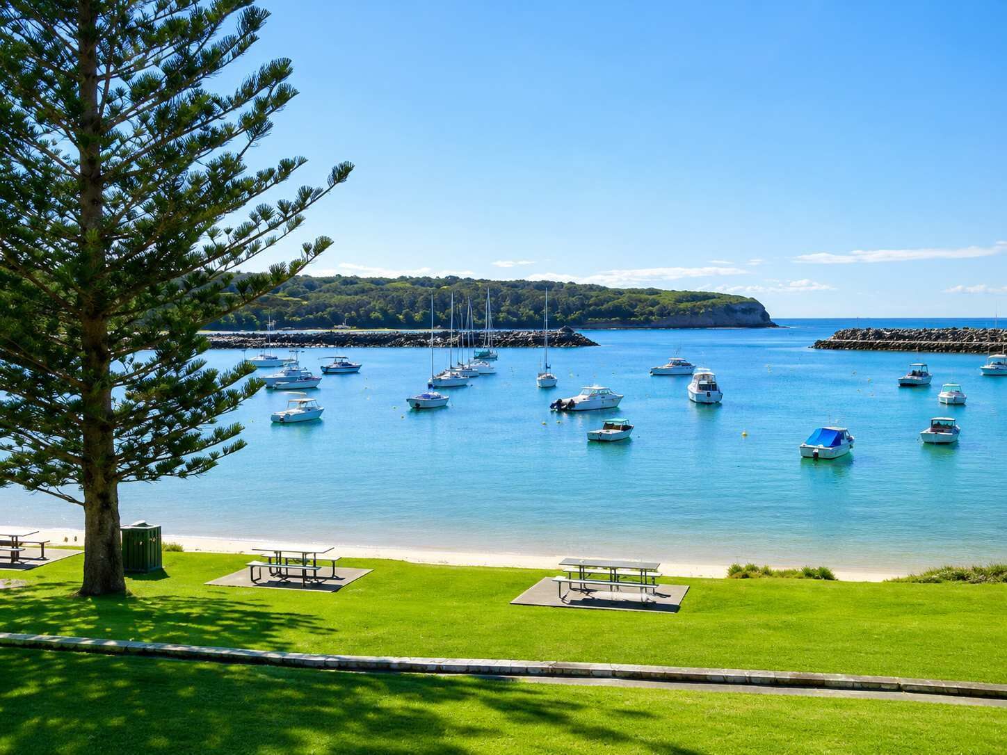 A coastal scene with boats anchored in calm waters, a grassy area with picnic tables, and a tree in the foreground.