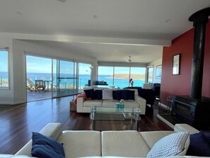 TV, fireplace, books