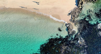 Jillbys House Summary