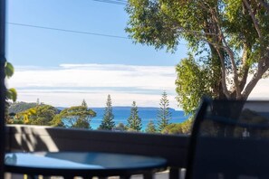Property grounds - Ocean Cove at Mollymook (Mollymook)