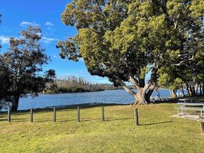 Un parque con un árbol grande, césped y un cuerpo de agua.
