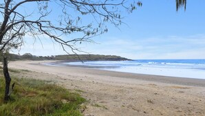 Una playa con orilla arenosa, un árbol con ramas colgantes y una vista distante del océano.