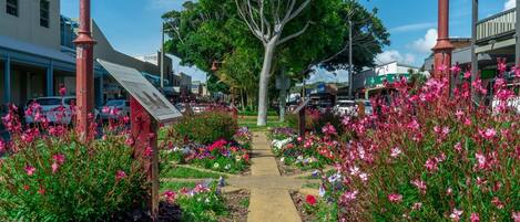 A pathway flanked by vibrant flower beds leading to a building with a signboard.