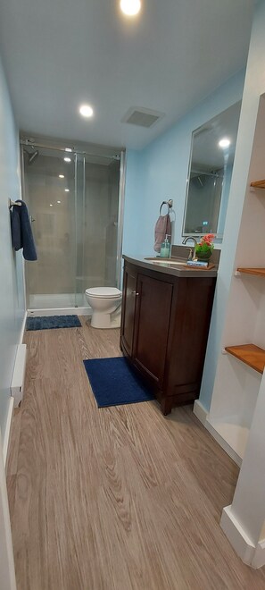 Regadera, secadora de cabello, toallas, jabón