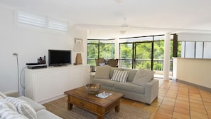 TV, DVD player, video library