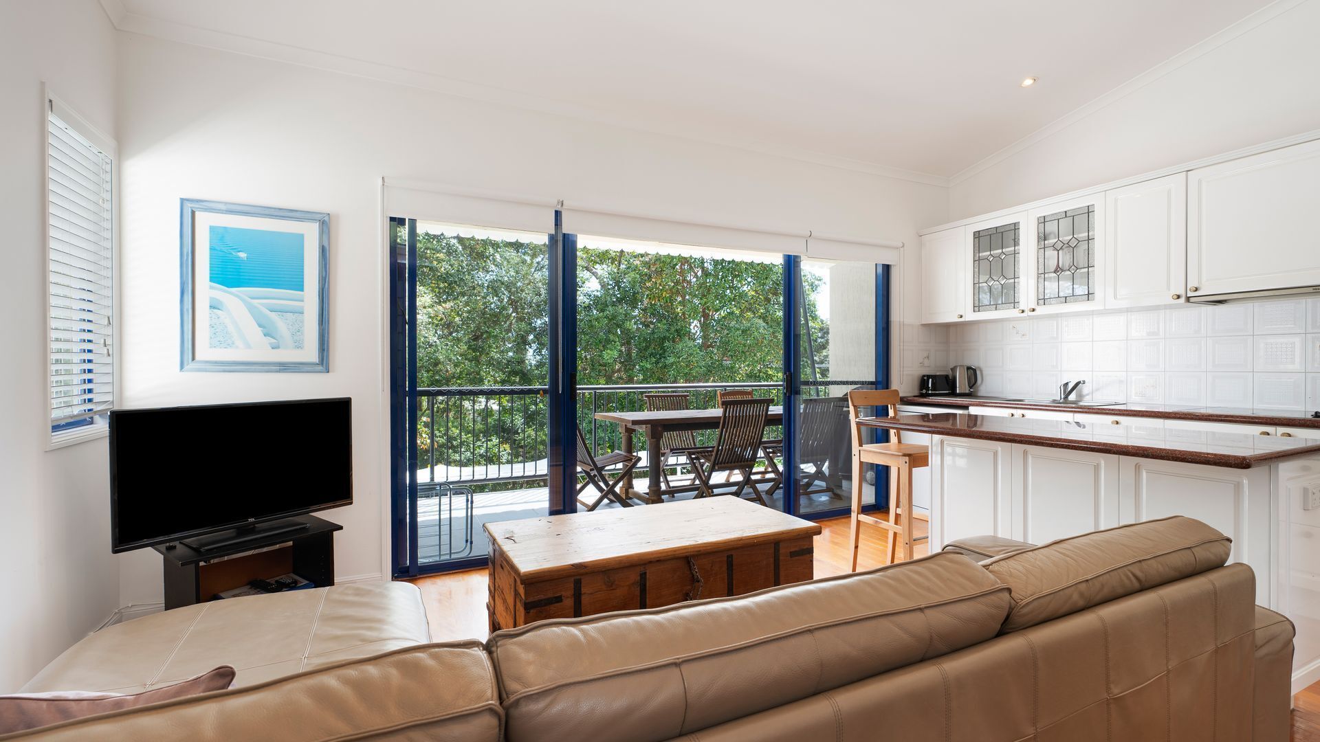 Televisión y reproductor de DVD 