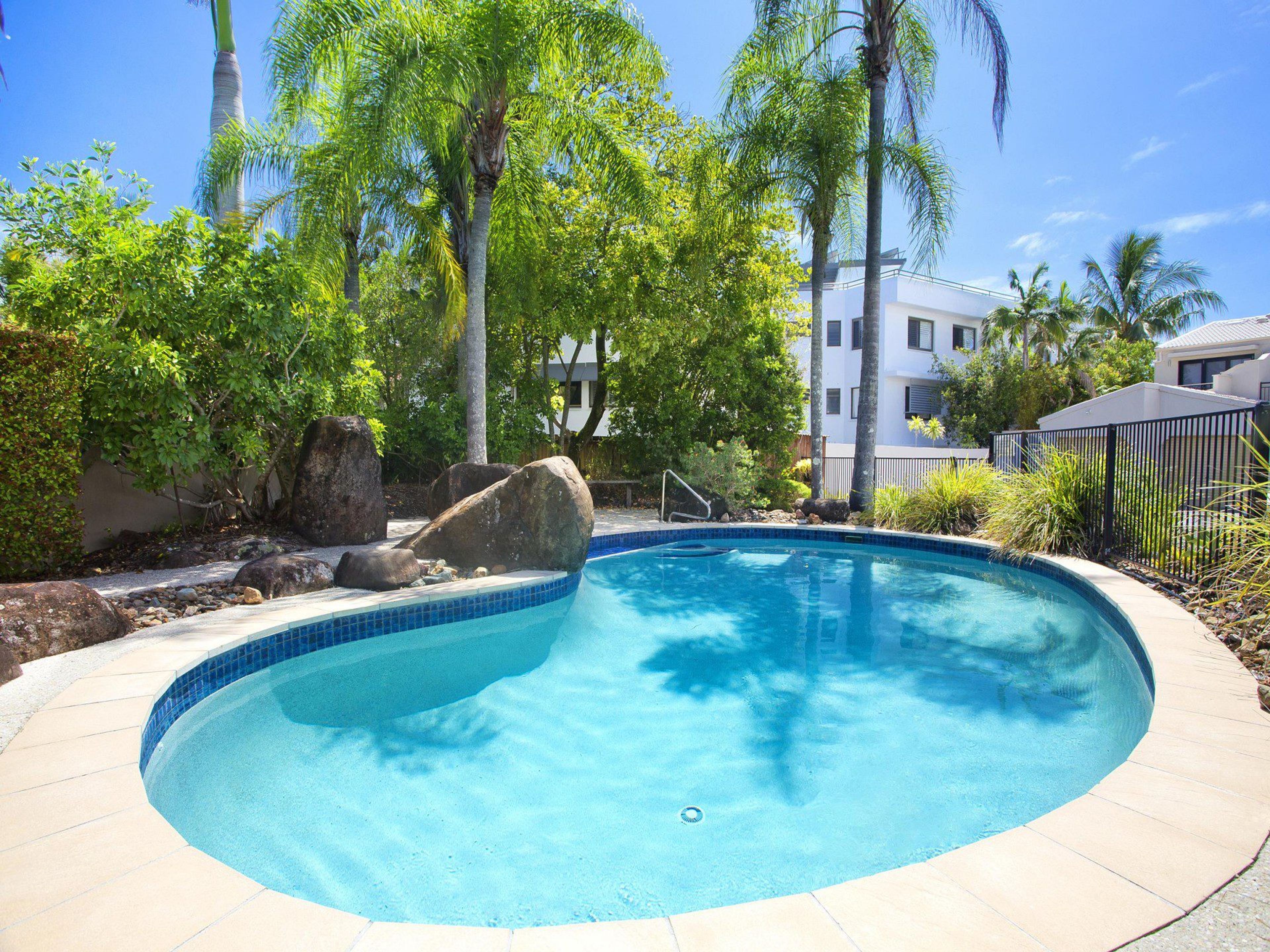 Piscina com borda curva, rodeada por pedras e palmeiras.
