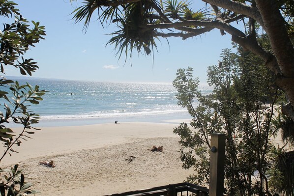A beach with clear skies, calm sea, and some people and dogs on the sand.