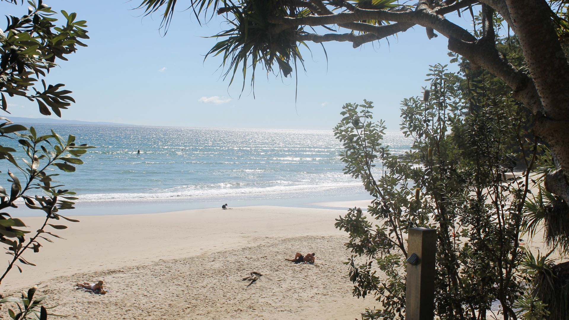 Kareela Court 2 - Noosa National Park right at your backdoor — image 16