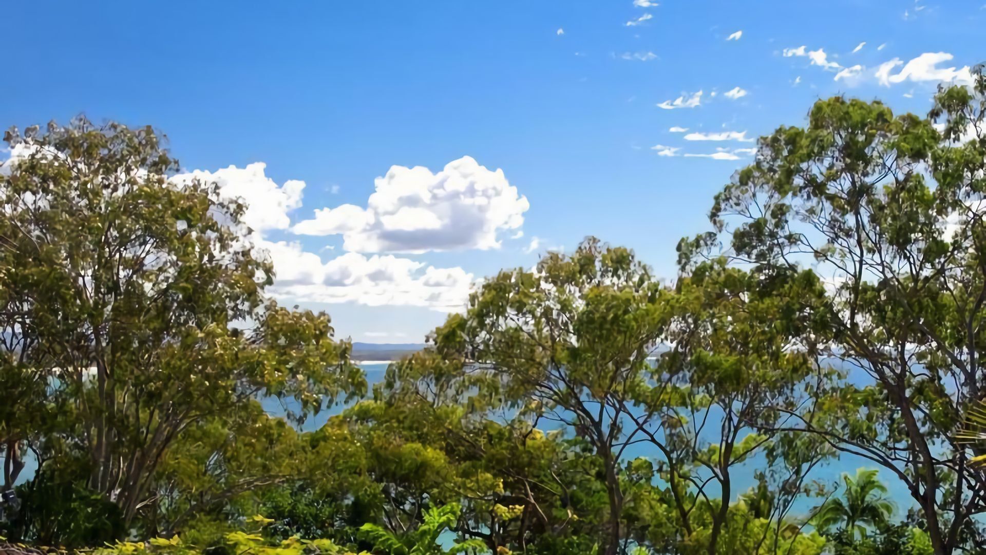 Costa Del Sol 3 - Little Cove Beach across the Road — image 9