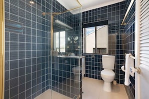 Shower, towels, toilet paper