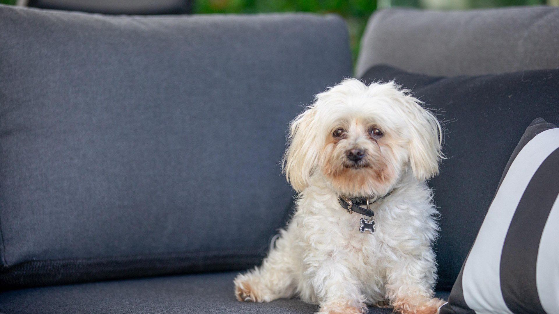 A short flat stroll away to Noosa's Iconic Hastings Street