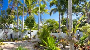 A tropical garden with palm trees, a variety of plants, and a stone pathway. - Wyuna Drive 53 (Noosaville)