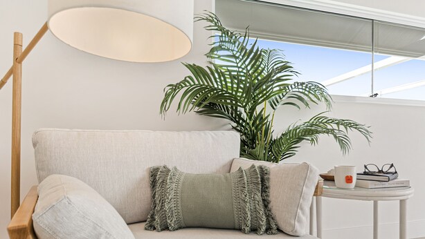 En moderne stue med en sofa, en gulvlampe, et lille bord med bøger og en kop, samt en stor potteplante.