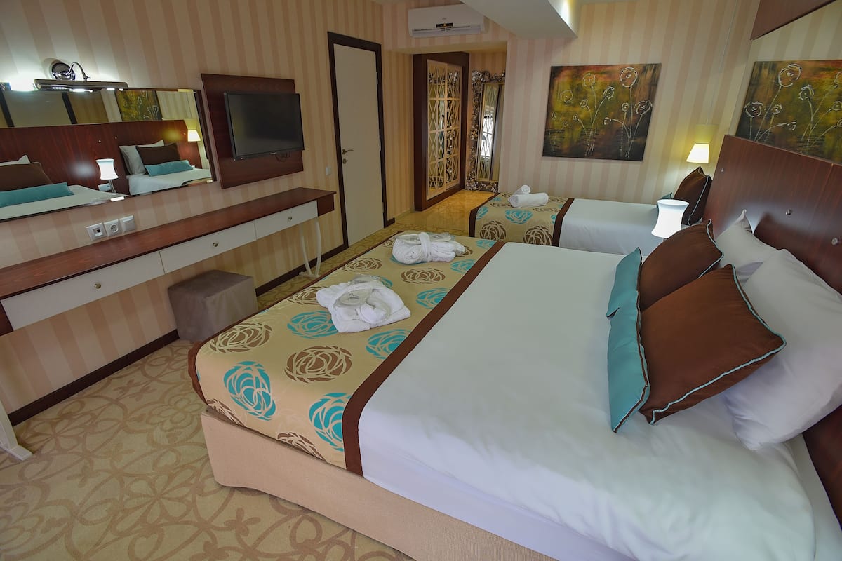 A hotel room with a large bed, a desk with a TV, and a bathroom with a shower.