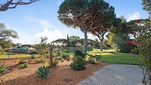 Ein angelegter Garten mit gepflastertem Weg, verschiedenen Sträuchern und einem großen Baum.