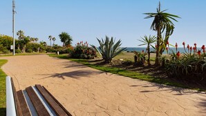 Un sendero pavimentado con bancos, rodeado de plantas tropicales y palmeras, que conduce a una playa.