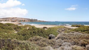 Paesaggio costiero con spiaggia, fitta vegetazione arbustiva e un grande edificio a più piani.