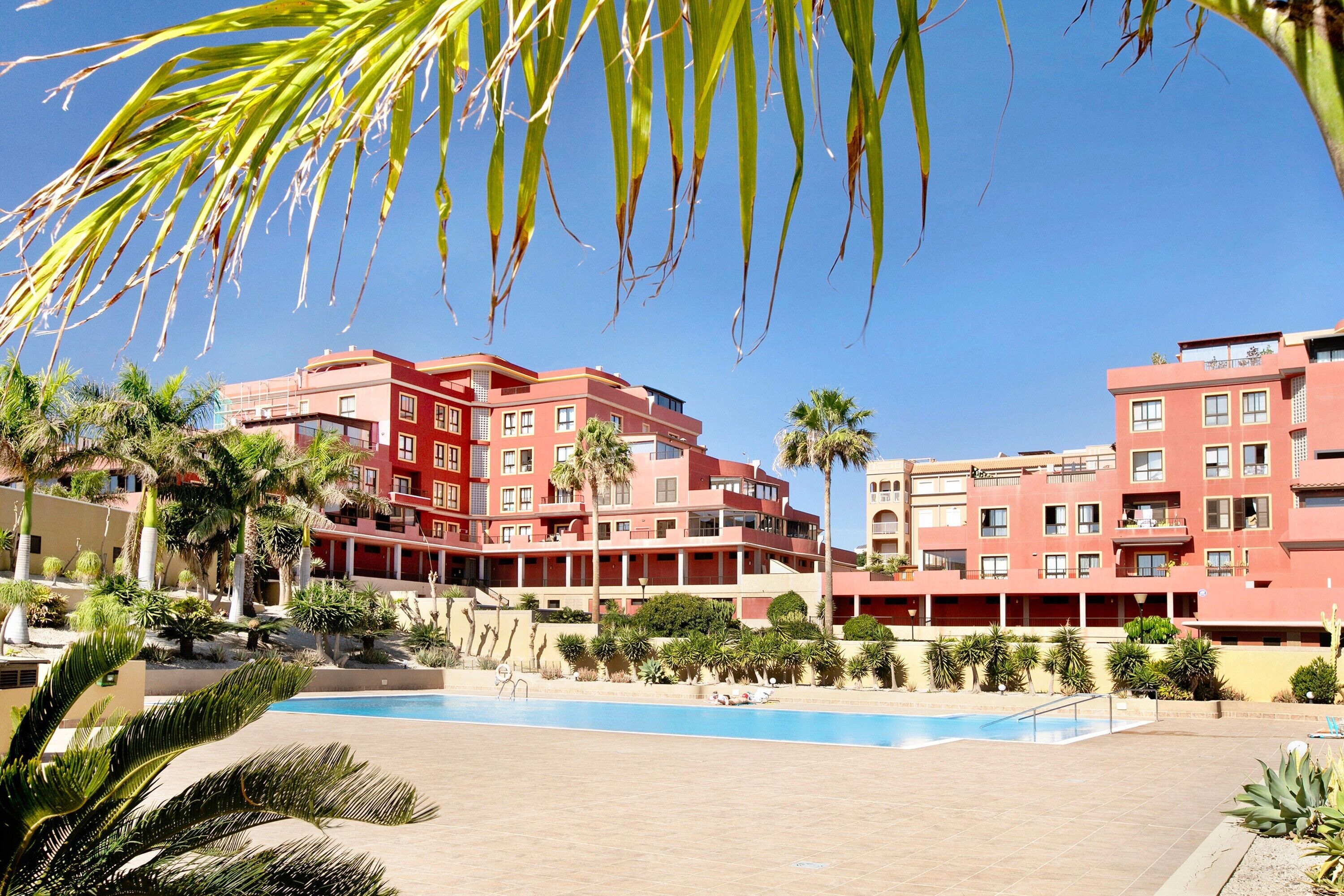 Un hôtel doté d’une piscine, de palmiers et de bâtiments aux couleurs rouge.