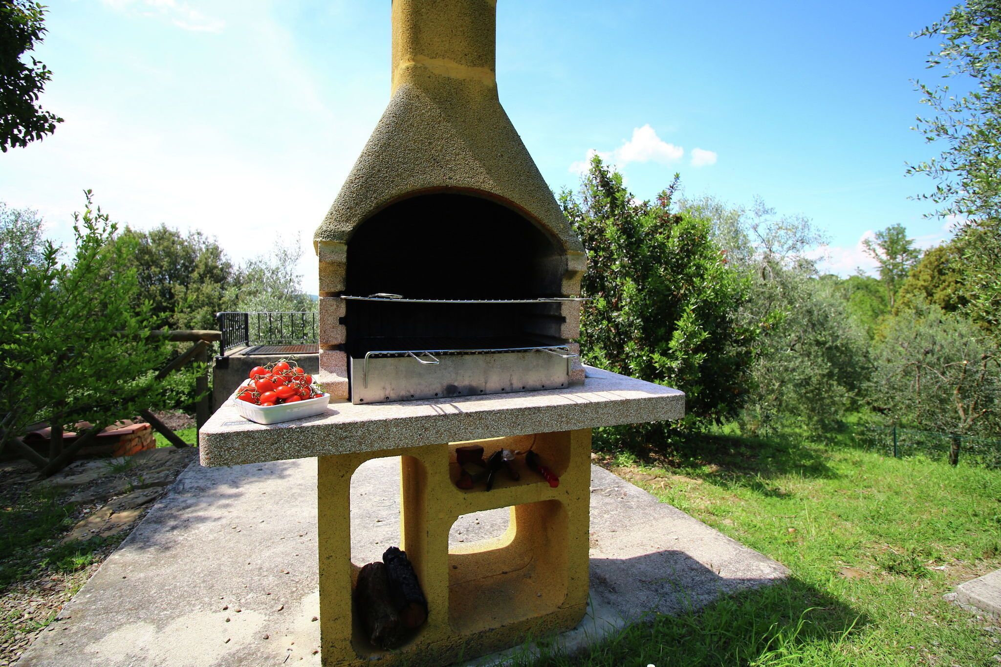 Un four à pizza en pierre installé à l’extérieur, avec une table en béton devant, le tout entouré de verdure.