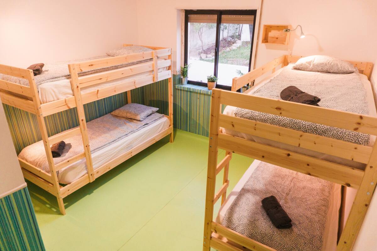 Een kamer met drie stapelbedden, een raam met uitzicht op de omgeving en een kleine tafel met een plant.