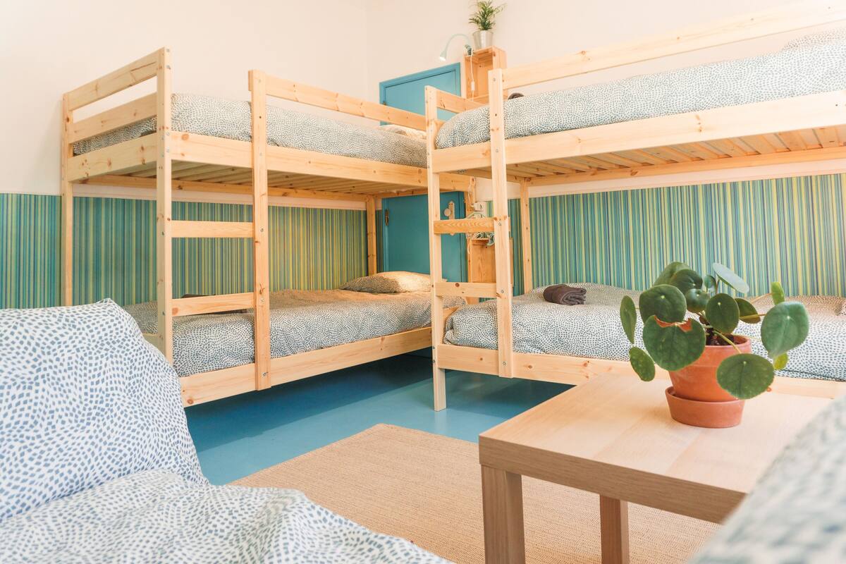 Een slaapkamer met stapelbed, een blauw gestreepte muur, een tafeltje en een pot met een plant.