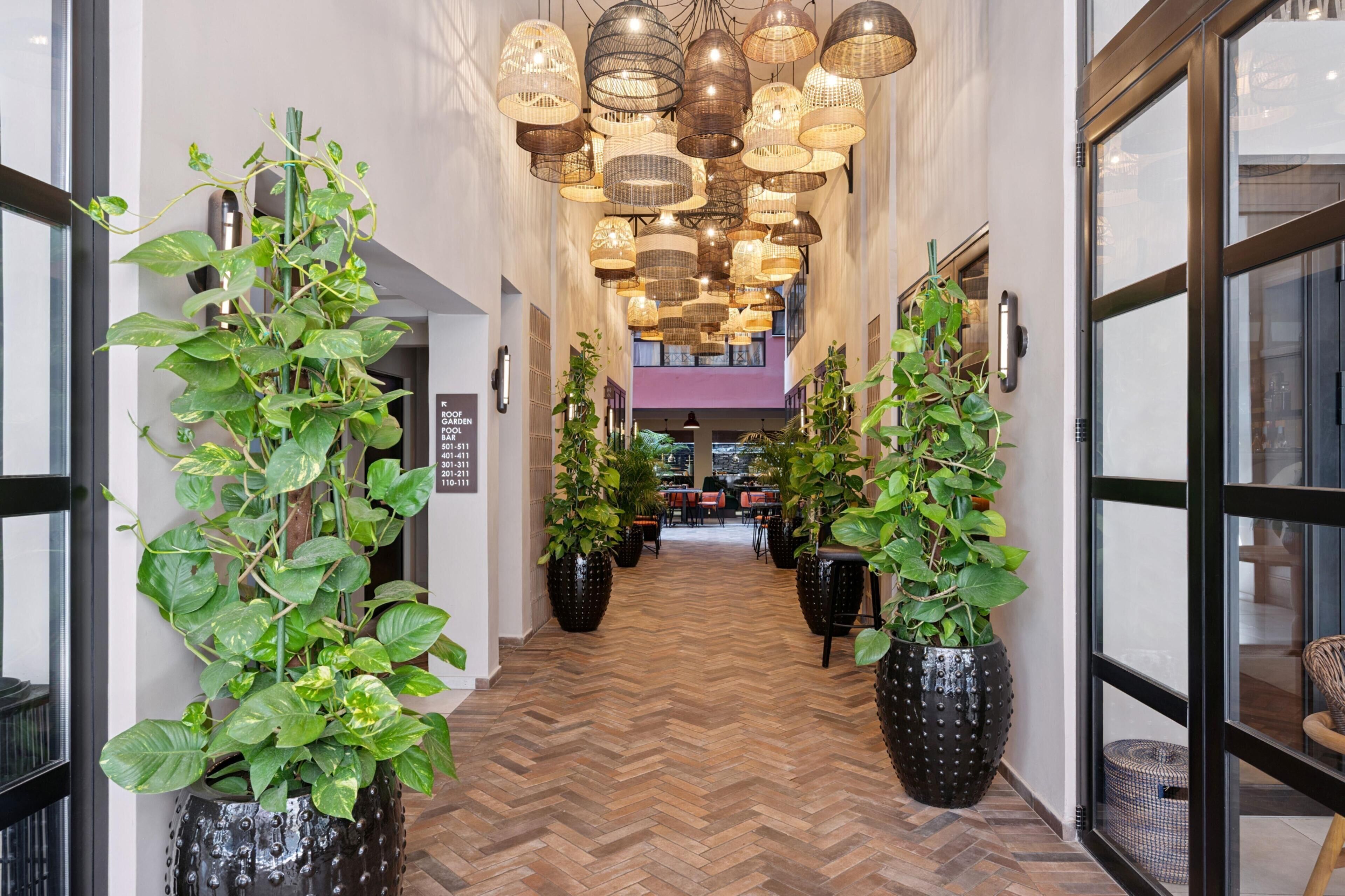 Foto - Anise Aluma Athens, Tapestry Collection by Hilton