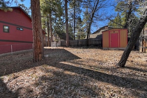 A fenced yard with a red building, a shed, and tall trees.