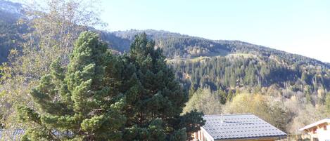 A cabin with a sloped roof, surrounded by dense forest and mountains.