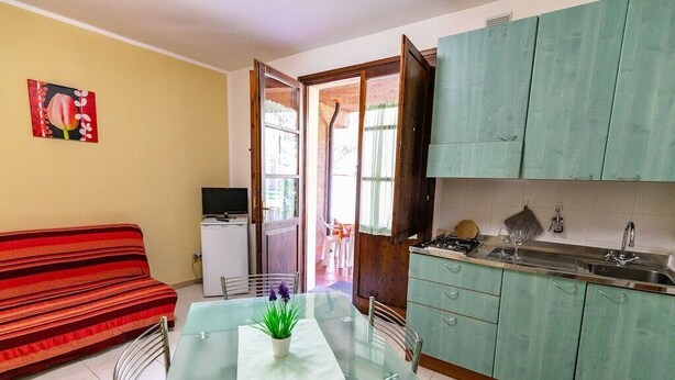 A compact living space with a kitchenette, a dining area with a glass table, a sofa, and a TV.