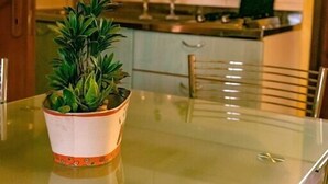 A dining table with a potted plant, a glass top, and metal chairs.