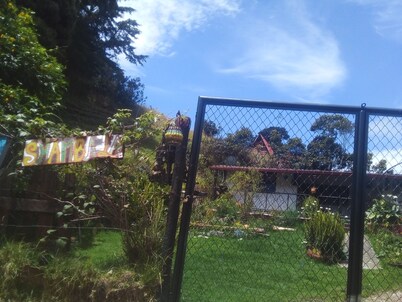 Rural accommodation, a unique experience in the Santurban paramo