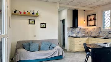 Smart TV, DVD player, books