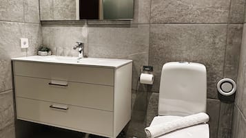 A modern bathroom with a white vanity, a toilet, and a large mirror.