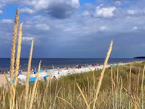 A beach with tents and people, surrounded by tall grass.