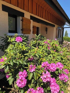 Details aan de buitenkant