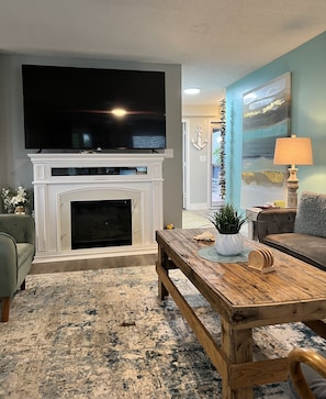 智能电视、壁炉、DVD 播放器