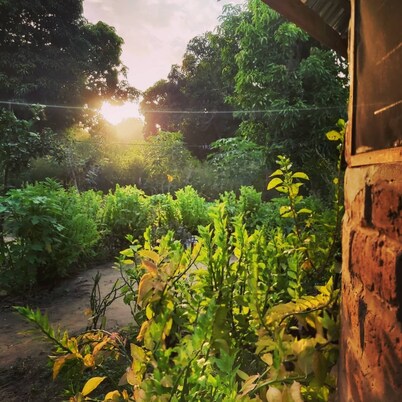 "ROOTS" Guesthouse @Good Vibes Eco Lodge