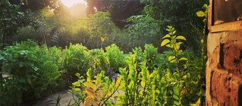 "ROOTS" Guesthouse @Good Vibes Eco Lodge