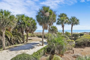 A sandy beach with palm trees and a clear sky.